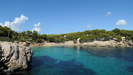 Transfer aeropuerto de Palma a Cala Ratjada